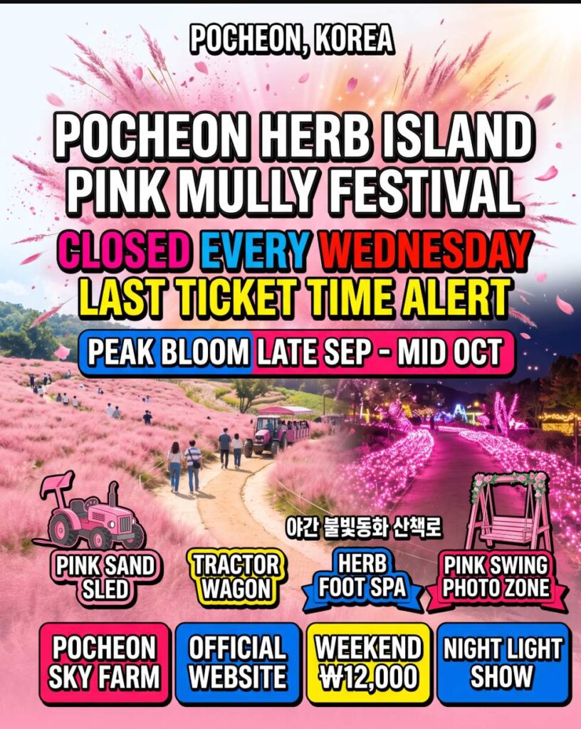 Herb Island Pink Muhly Festival 2026 at Herb Island Sky Farm, Pocheon, Gyeonggi Province — pink muhly grass in full bloom across the hillside meadow